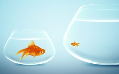 The 5 Branding Myths That Keep You Stuck (And How to Break Them)